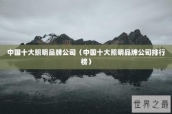 中国十大照明品牌公司（中国十大照明品牌公司排行榜）