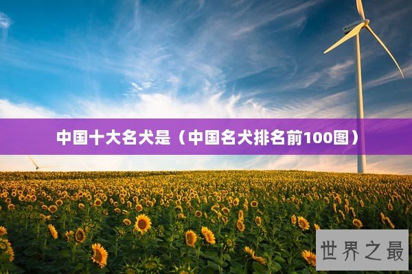 中国十大名犬是(中国名犬排名前100图) 中国十大名犬是(中国名犬排名前100图)