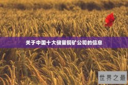 关于中国十大储量铜矿公司的信息