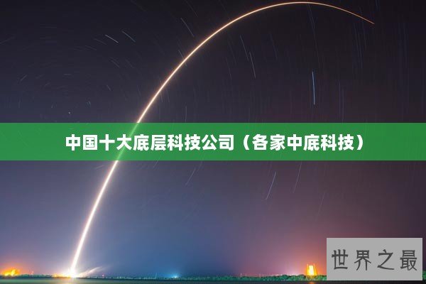 中国十大底层科技公司（各家中底科技）