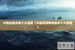 中国品牌牙刷十大品牌（中国品牌网电动车十大品牌）