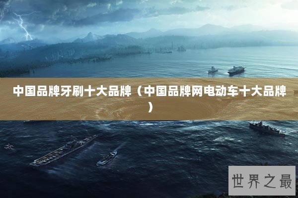 中国品牌牙刷十大品牌（中国品牌网电动车十大品牌）