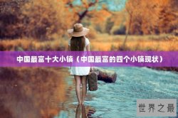 中国最富十大小镇（中国最富的四个小镇现状）