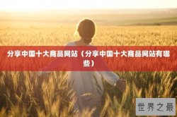 分享中国十大商品网站（分享中国十大商品网站有哪些）