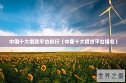 中国十大借款平台排行（中国十大借贷平台排名）