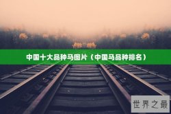 中国十大品种马图片（中国马品种排名）