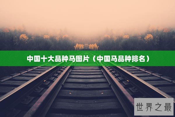 中国十大品种马图片（中国马品种排名）