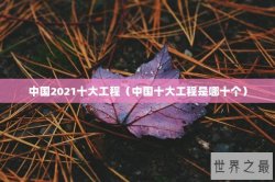 中国2021十大工程（中国十大工程是哪十个）