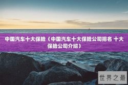 中国汽车十大保险（中国汽车十大保险公司排名 十大保险公司介绍）