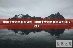 中国十大融资利率公司（中国十大融资利率公司排行榜）