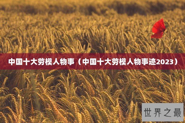 中国十大劳模人物事（中国十大劳模人物事迹2023）