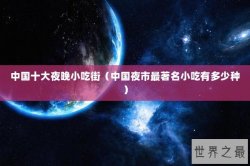 中国十大夜晚小吃街（中国夜市最著名小吃有多少种）