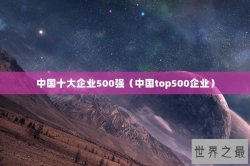 中国十大企业500强（中国top500企业）