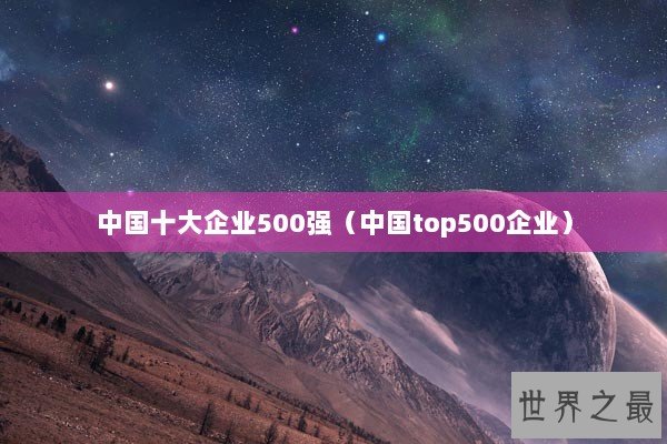 中国十大企业500强（中国top500企业）
