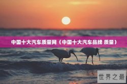 中国十大汽车质量网（中国十大汽车品牌 质量）
