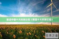 解读中国十大科技公司（我国十大科技公司）