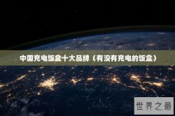 中国充电饭盒十大品牌（有没有充电的饭盒）