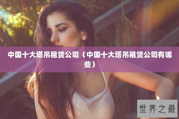 中国十大塔吊租赁公司(中国十大塔吊租赁公司有哪些) 中国十大塔吊租赁公司(中国十大塔吊租赁公司有哪些)