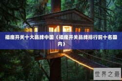 插座开关十大品牌中国（插座开关品牌排行前十名国内）