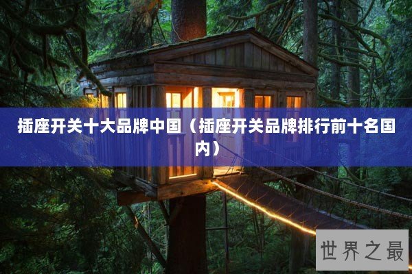 插座开关十大品牌中国(插座开关品牌排行前十名国内) 插座开关十大品牌中国(插座开关品牌排行前十名国内)