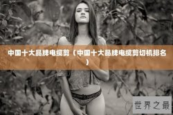 中国十大品牌电缆剪（中国十大品牌电缆剪切机排名）