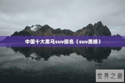 中国十大黑马suv排名（suv黑榜）