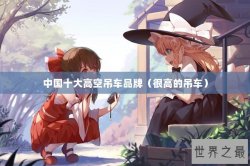 中国十大高空吊车品牌（很高的吊车）