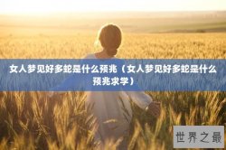 中国十大恋爱循环曲目（恋爱循环中文歌曲）