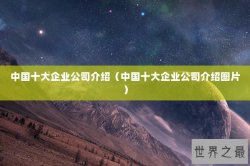 中国十大企业公司介绍（中国十大企业公司介绍图片）