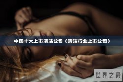 中国十大上市清洁公司（清洁行业上市公司）
