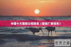 中国十大塑胶公司排名（塑胶厂家排名）