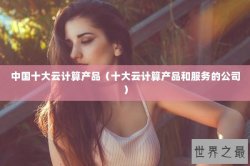 中国十大云计算产品（十大云计算产品和服务的公司）