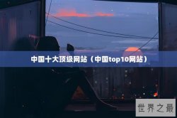 中国十大顶级网站（中国top10网站）