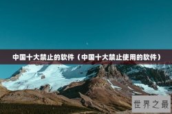 中国十大禁止的软件（中国十大禁止使用的软件）