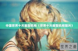 中国世界十大重型机枪（世界十大重型机枪图片）