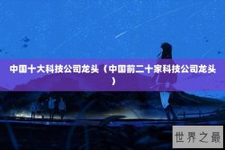 中国十大科技公司龙头（中国前二十家科技公司龙头）