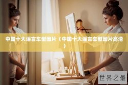 中国十大谣言车型图片（中国十大谣言车型图片高清）