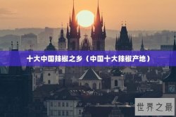 十大中国辣椒之乡（中国十大辣椒产地）