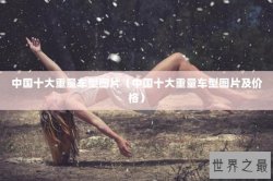 中国十大重量车型图片（中国十大重量车型图片及价格）