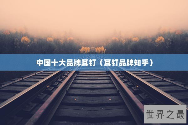 中国十大品牌耳钉（耳钉品牌知乎）