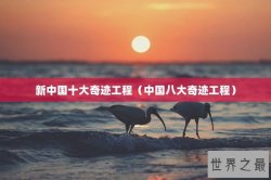 新中国十大奇迹工程（中国八大奇迹工程）