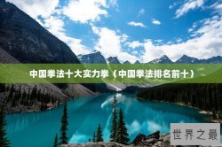 中国拳法十大实力拳（中国拳法排名前十）