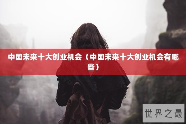 中国未来十大创业机会（中国未来十大创业机会有哪些）