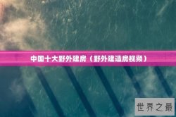 中国十大野外建房（野外建造房视频）