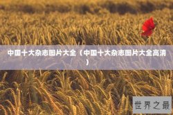 中国十大杂志图片大全（中国十大杂志图片大全高清）