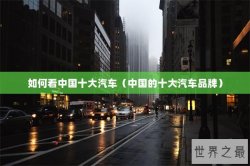 如何看中国十大汽车（中国的十大汽车品牌）