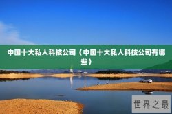 中国十大私人科技公司（中国十大私人科技公司有哪些）