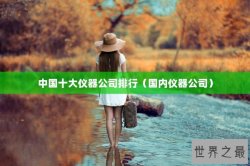 中国十大仪器公司排行（国内仪器公司）