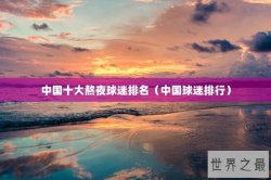 中国十大熬夜球迷排名（中国球迷排行）