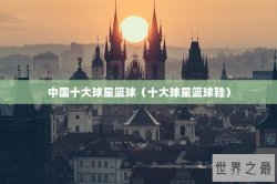 中国十大球星篮球（十大球星篮球鞋）